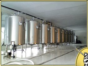 Mini brewery 2000 liters per day (Brewery and Microbrewery).